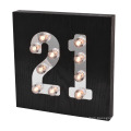 Decorative LED Light for Wall Hanging